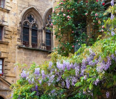 sarlat guide voyage